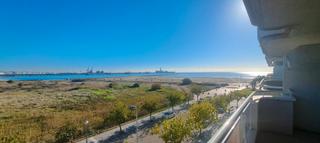 Apartament a La pineda 69