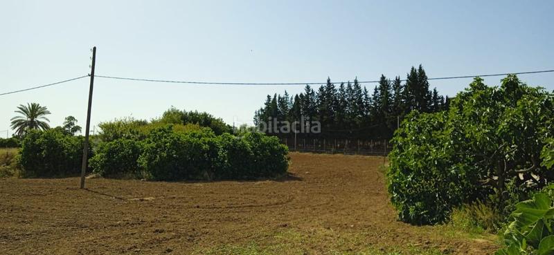 Foto 7d8e86d1-aa63-42d8-9074-afeb128f8c4b. Mas dans Parque Atlántico - Ronda este Jerez de la Frontera