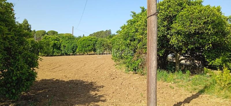 Foto ad562e57-5f15-4b31-98a3-3a56f0ebae23. Mas dans Parque Atlántico - Ronda este Jerez de la Frontera