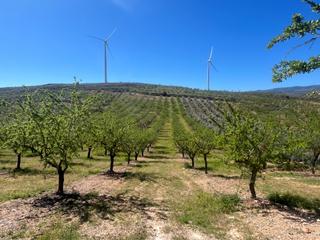 Finca rústica  Camino de la sierra. Finca de almendros en padul