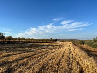 Rural plot  Avenida de andalucía. Finca el padul - carretera de la cabra