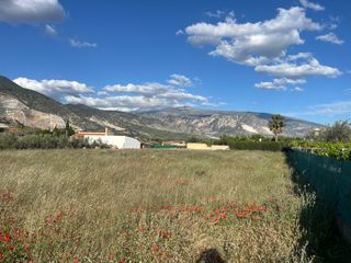 Propri�t�  Calle piedras hermosas. Finca con pozo en padul