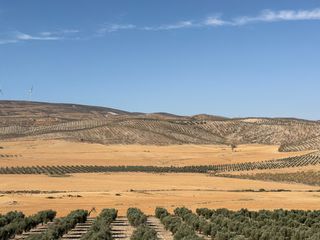 Finca rústica a Camino de Alhendín