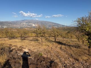 Finca rústica a Camino de la Sierra