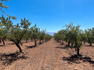 Finca rústica a Padul
