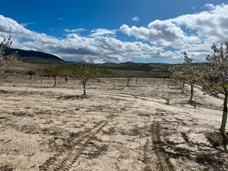 Propriété  Poligono ue-10. Finca de almendros en carretera de la malaha km 2.5