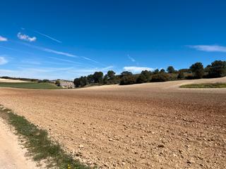 Finca rústica  Avenida de andalucía. Finca en padul