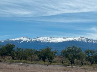 Finca rústica  Avenida de andalucía. Finca en padul - carretera de la cabra km 8