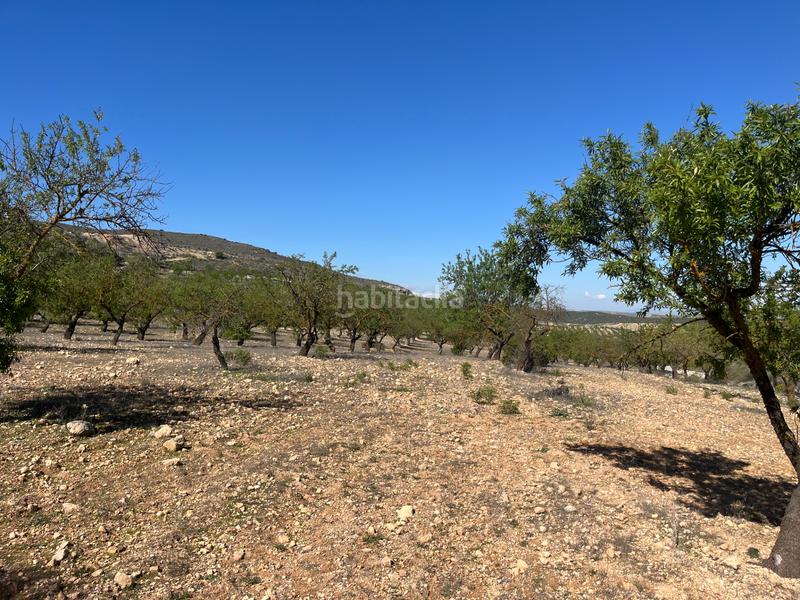 Foto 0f7be4df-fc10-4a5f-88b2-b0921406763c. Finca rústica a Padul