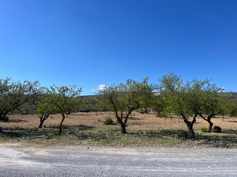 Foto 10b9000f-84fc-42f8-9168-e78a70a13479. Finca rústica a Padul