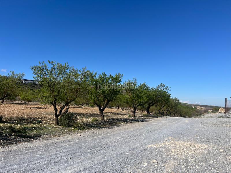 Foto 416062c9-af59-4a2e-98dd-d663f5840e80. Finca rústica a Padul