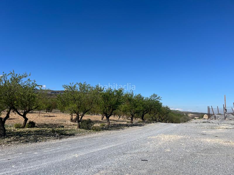 Foto d5f3db7d-7c4b-4ec4-bd3a-b914771ac048. Finca rústica a Padul