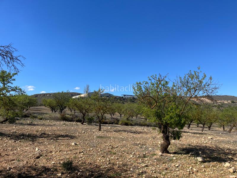 Foto eb0f5ae2-a8e9-4cd8-a616-afa9f47c0eba. Finca rústica a Padul