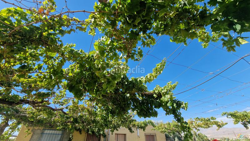 Foto d46da8b1-ccdc-4315-8129-9eb6eb6e4a1c. Masia amb xemeneia a Benahadux