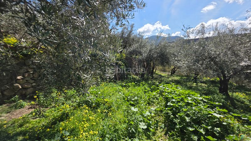 Foto 69023900-447a-49a5-869e-1eeb59b51ac4. Masia a Canjáyar