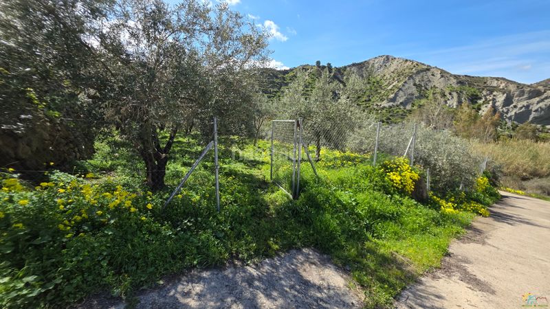 Foto d8756843-963b-4bd4-94b2-53f48e3ee633. Masia a Canjáyar