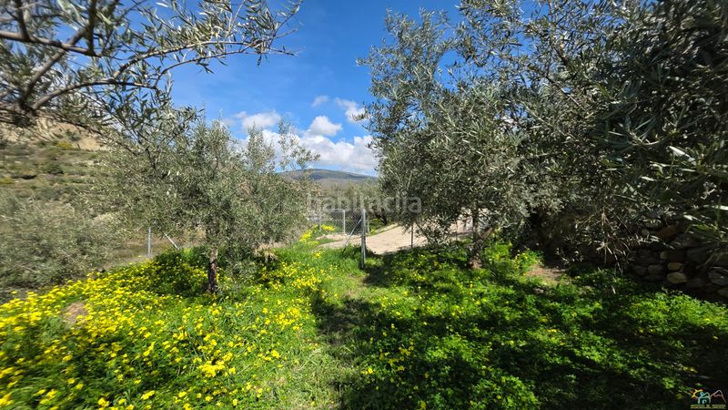 Foto fba68e8d-b0ee-4959-9ad5-b1308a5b9e84. Masia a Canjáyar
