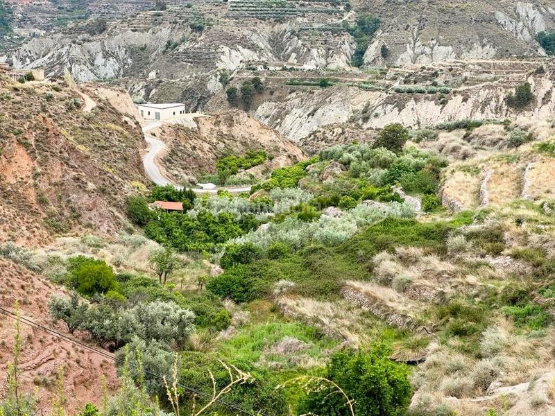 Foto 6a9900ce-abe3-4e14-85bf-d66d8b19d218. Masía cortijo las quebradas en Canjáyar