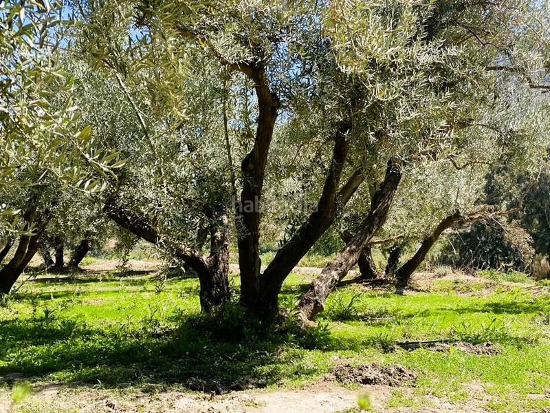 Foto 3cb3d6ef-7e9e-461d-a576-aef4f114ef34. Finca rústica terreno frutales chuche en Benahadux
