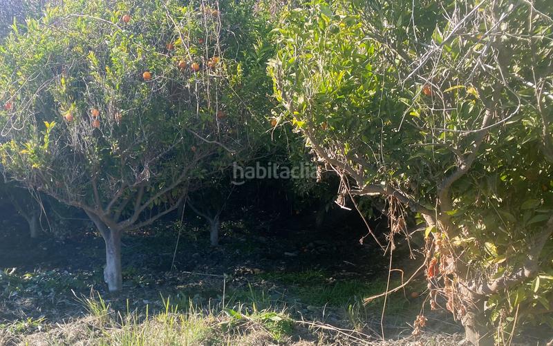 Foto fb3149ae-d8d9-461b-b55c-8bc2ac7bc687. Finca rústica terreno frutales chuche en Benahadux