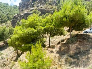 Xalet  N/a