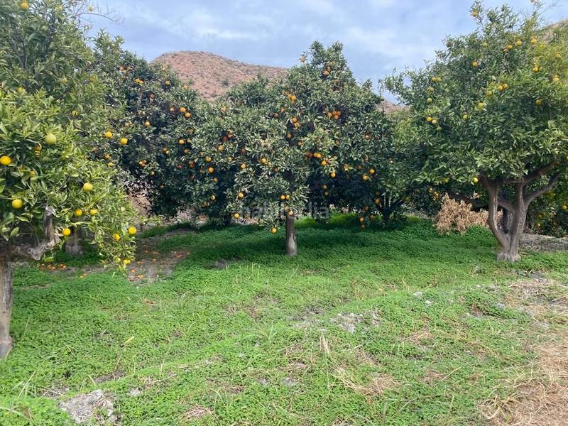 Foto 714d0951-5967-41c3-9473-edf928ee641f. Finca rústica a Canjáyar