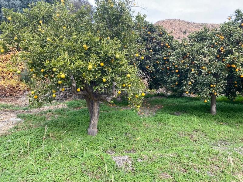 Foto 00fd846c-91db-4ba5-92a5-70b65c1ce037. Finca rústica en Canjáyar