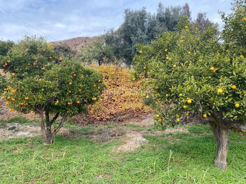 Foto 1ce83ec9-02f9-4129-ae09-958cb57ff4d8. Finca rústica en Canjáyar