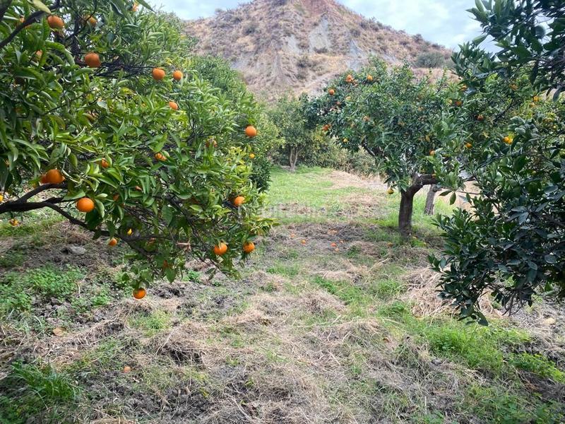 Foto 56cd81b2-09a9-44be-adc0-0441dda88477. Finca rústica en Canjáyar