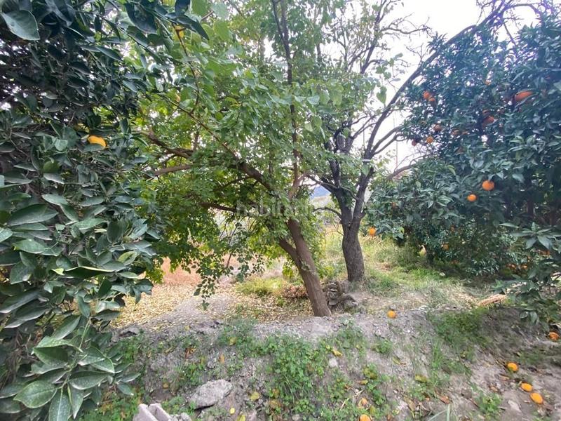 Foto 8b130918-c1e4-4585-8ddd-fa51ee2593fc. Finca rústica en Canjáyar
