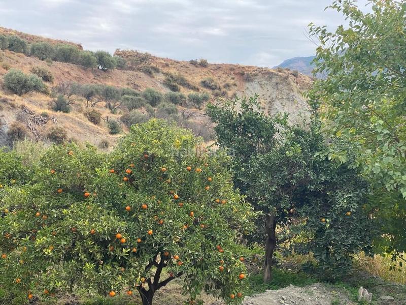 Foto a8bf71d7-48d8-4e96-9223-e0207cc86ba8. Finca rústica en Canjáyar