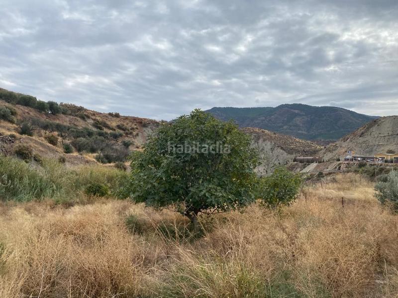 Foto d972dd39-a48f-40f2-933c-440146b72ada. Finca rústica en Canjáyar