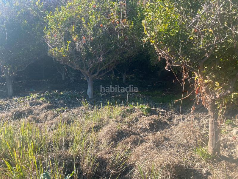 Foto 7da74b42-52a3-4c57-8db1-62ca4f3488d2. Finca rústica a Rágol