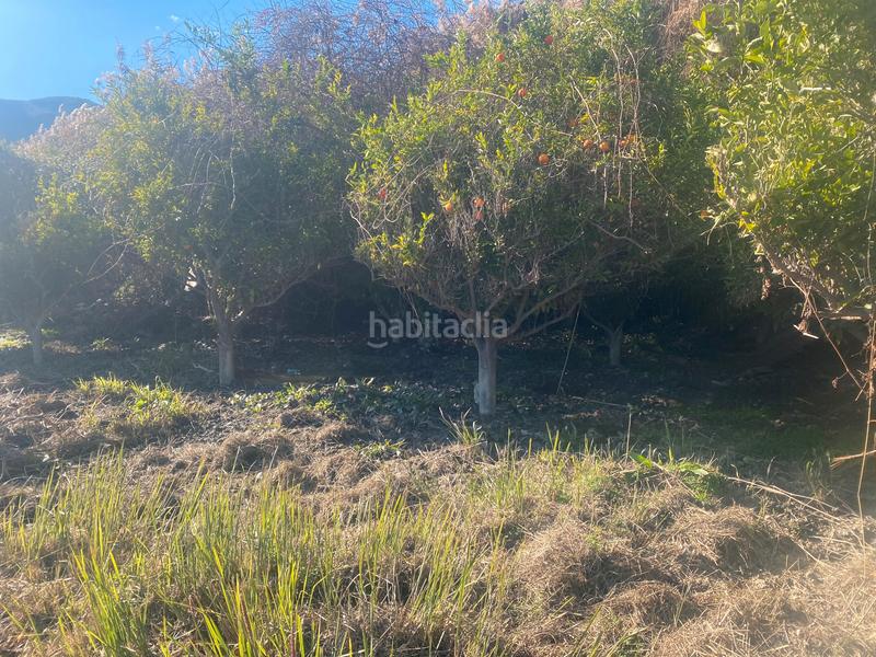 Foto a5c683bd-f337-4a73-8535-53e116b0f37c. Finca rústica a Rágol