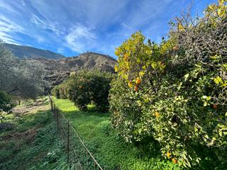 Finca rústica a Canjáyar. Terreno 2000 metros cuadrados con naranjos en rágol