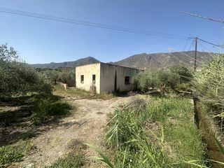 Bauernhof en Bentarique. Finca de 15.000 metros cuadrados con casa, almac�n y olivos en p