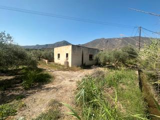 Masia a Bentarique. Finca de 15.000 metros cuadrados con casa, almacén y olivos en p