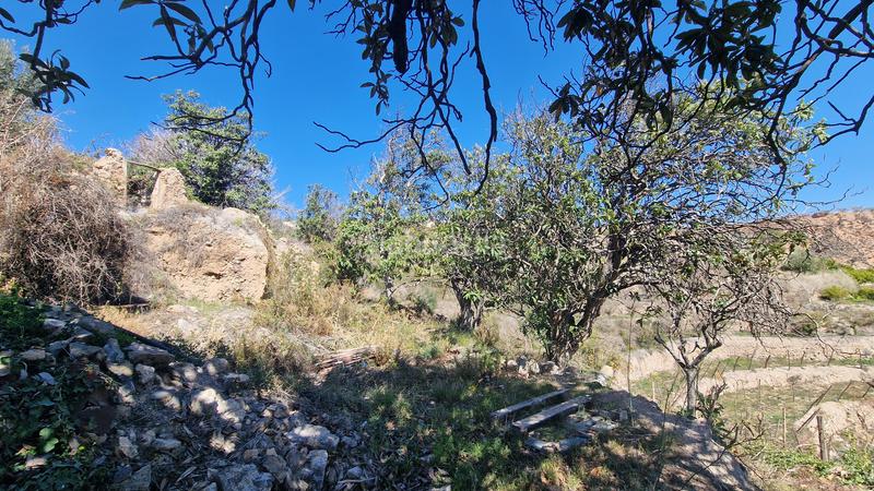 Foto 16fd4ae2-c201-4d34-b4d9-d17de08cc02b. Finca rústica a Canjáyar