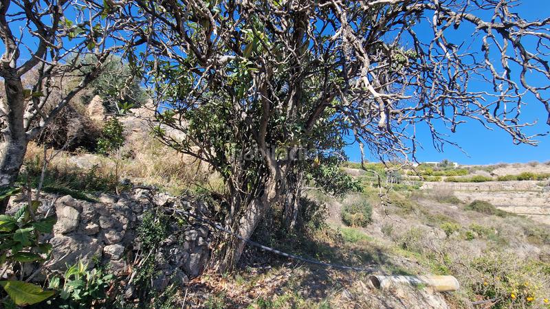 Foto 23f81cf7-17e6-4ed4-959c-fd9998456d9e. Finca rústica a Canjáyar