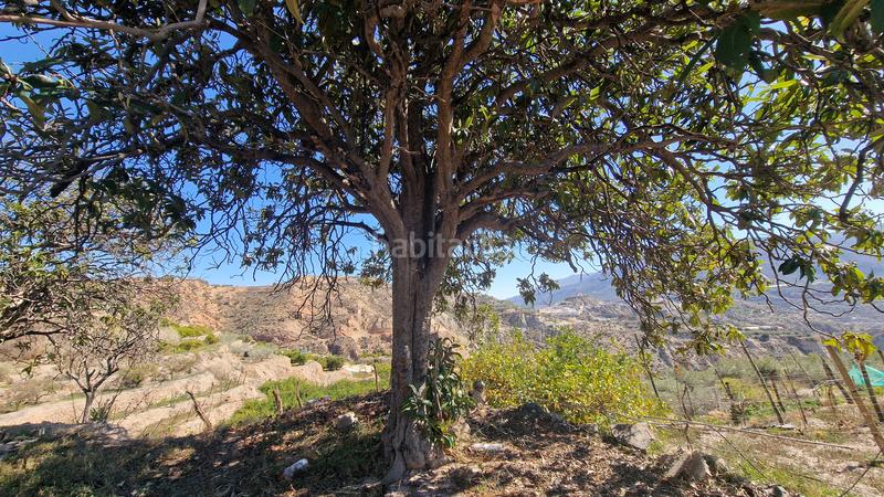 Foto 24382fcc-9532-40ef-bdce-f60d02001d18. Finca rústica a Canjáyar