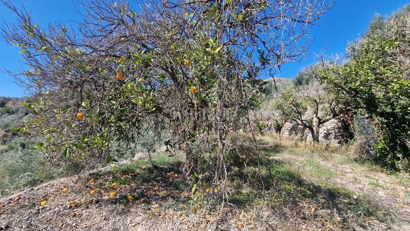 Foto cbb96397-32e0-49c2-ae80-5412d03d64e8. Finca rústica a Canjáyar