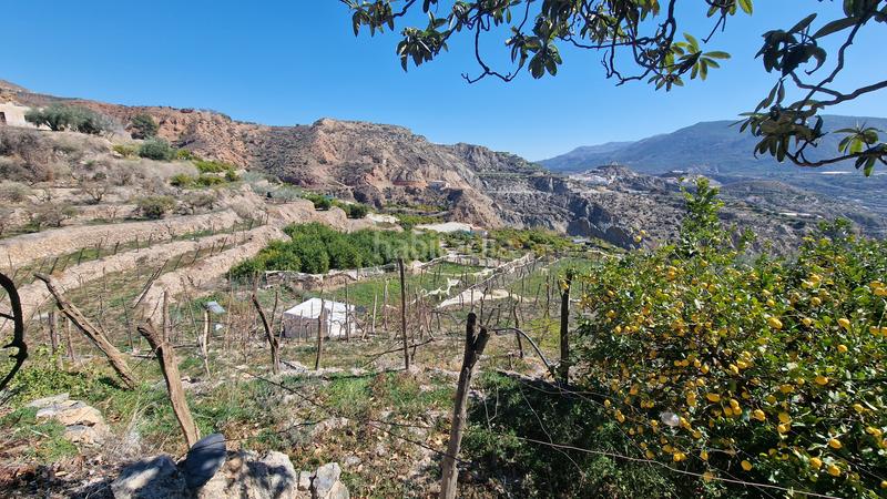 Foto d378a15a-b7f9-483a-8893-0c3d0daa3154. Finca rústica a Canjáyar