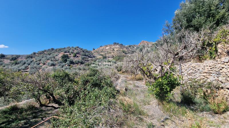 Foto d695cc70-ee39-498a-991a-338e24f07e3b. Finca rústica a Canjáyar