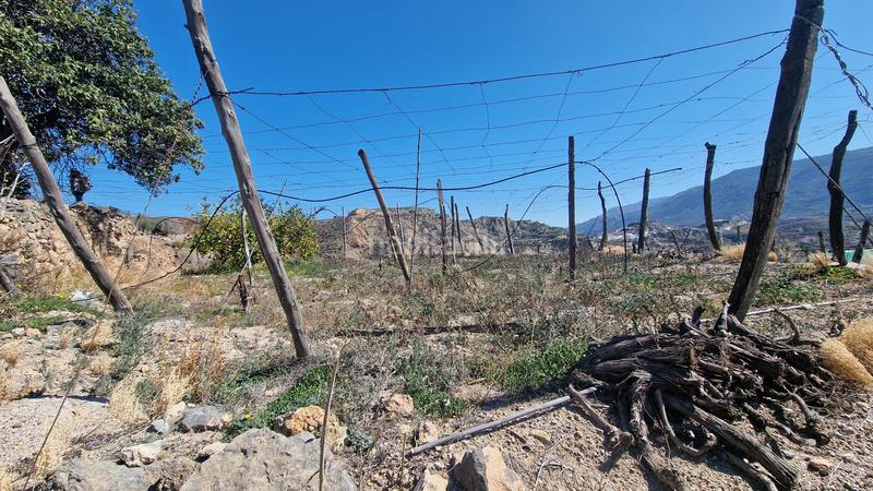 Foto d950ce64-3842-43ea-91f7-394c927601df. Finca rústica a Canjáyar