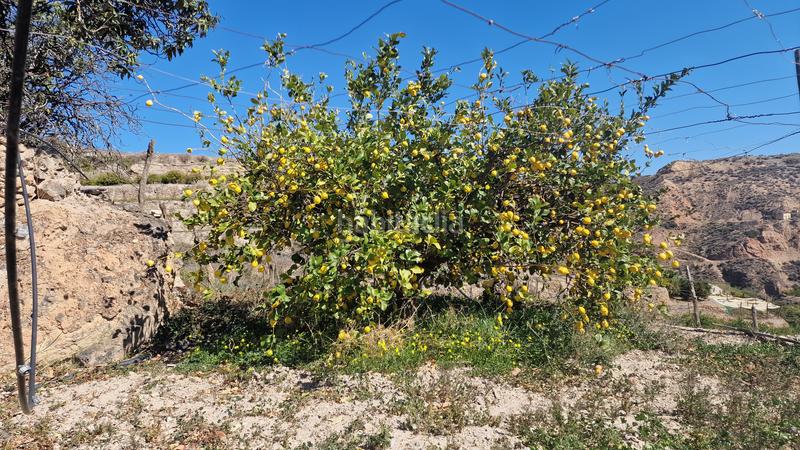 Foto f4e305af-4498-4355-be1c-50e1c38fb97f. Finca rústica a Canjáyar