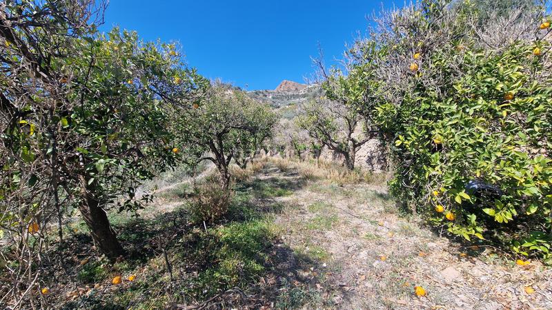 Foto f61aa5ad-3a26-43ce-95a1-5d8c76191858. Finca rústica a Canjáyar