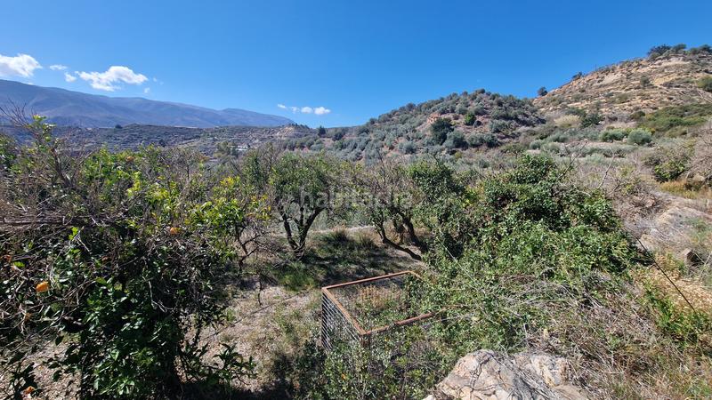 Foto fc13f49c-daeb-4bbb-972f-e1970d2810a8. Finca rústica a Canjáyar