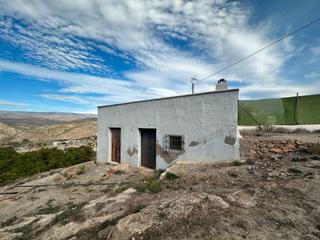 Finca rústica a Alhama de Almería. Cortijo con frutales y olivos