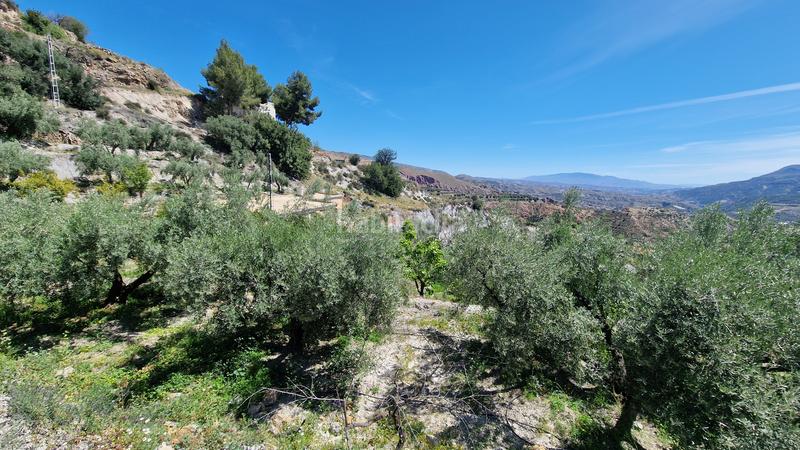 Foto be19e5dd-31d0-4370-9c25-3eb693590851. Masia amb xemeneia a Canjáyar