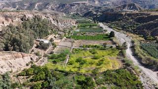 Masia a Canjáyar. Pintoresco cortijo con 3,5 hectáreas de tierra fértil